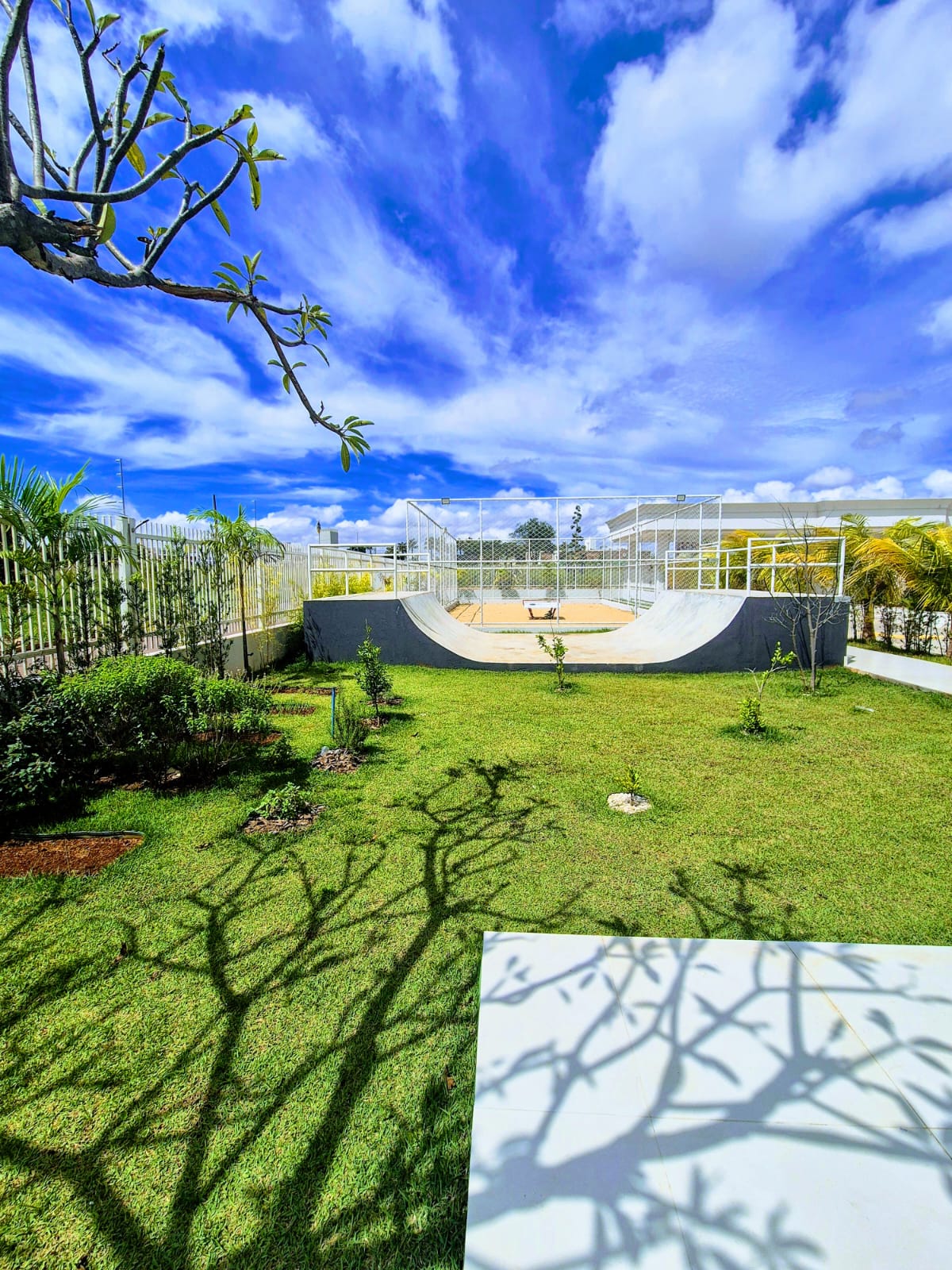 Borges Landeiro Verano — imagem 3